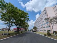 ★中央道路、こっちの方がかっこいい！