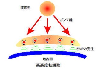 画像２トリ330.jpg