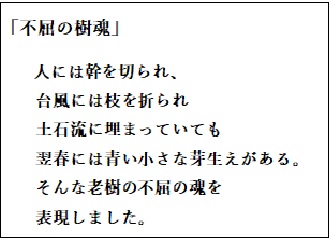 「不屈の樹魂」説明文.jpg