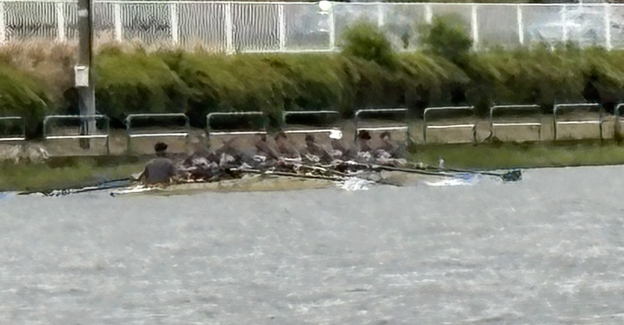 https://www.bodaidsk.com/community/tomo_boat/IMG_2327.jpeg