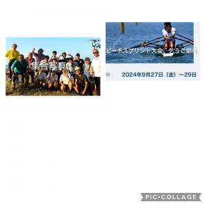 IMG_1352.jpeg