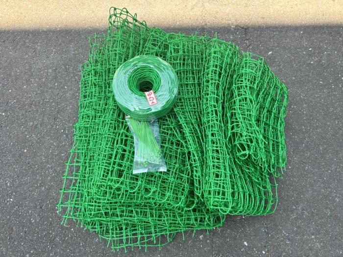 net1.jpg