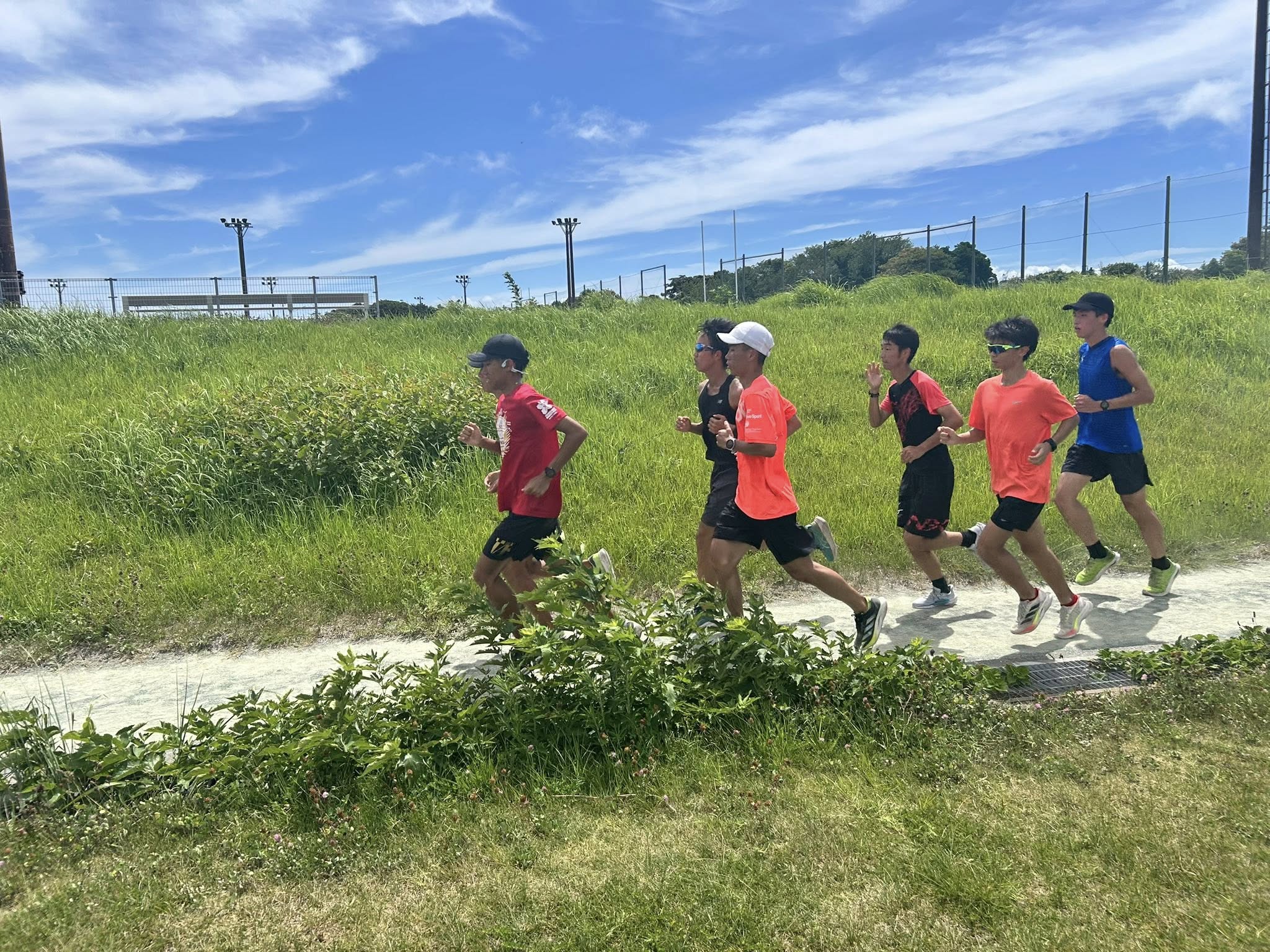 https://www.bodaidsk.com/community/tomo_t_and_f/images/16_jog.jpg