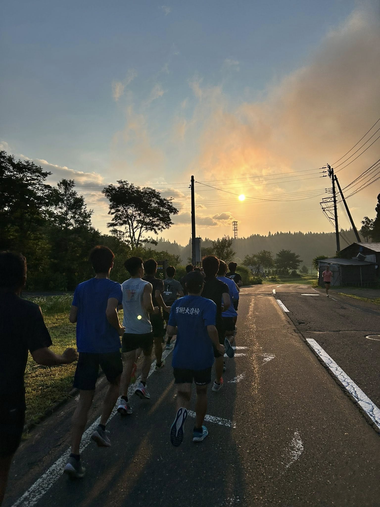 https://www.bodaidsk.com/community/tomo_t_and_f/images/day2_03.jpg